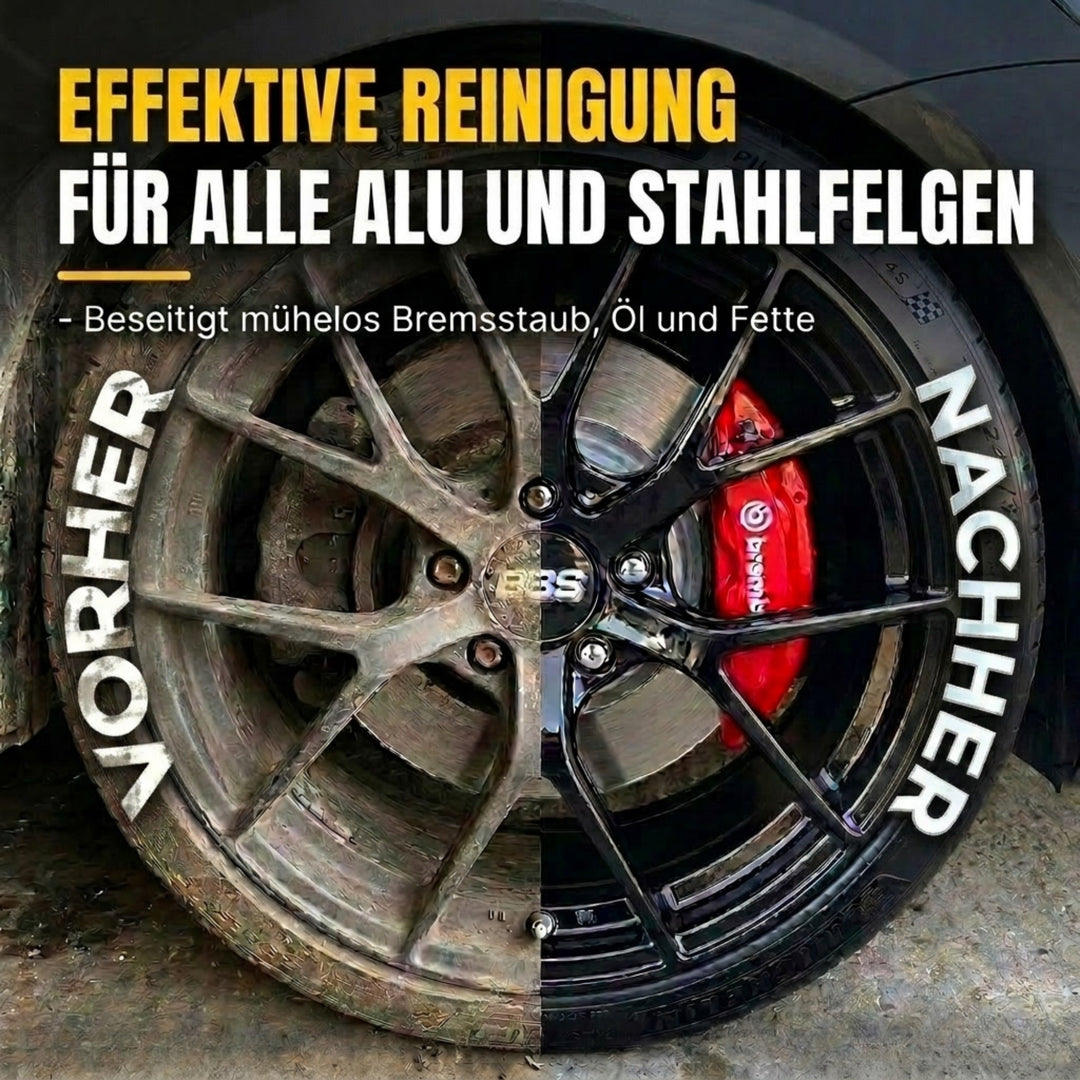 #grosse_felgenbuerste-klein
